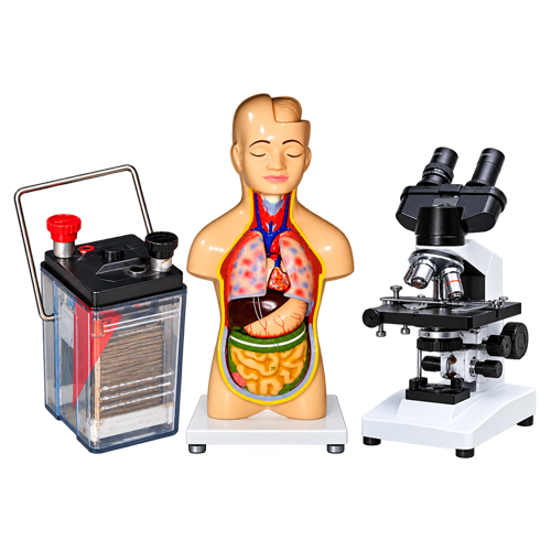 Accumulator, human torso model and student microscope