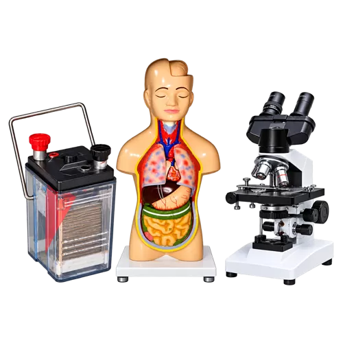 Accumulator, human torso model and student microscope