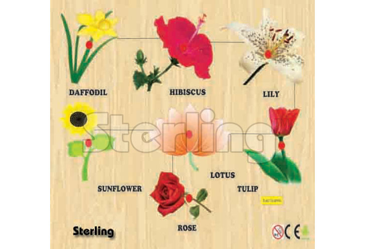 FLOWERS KNOB PUZZLE