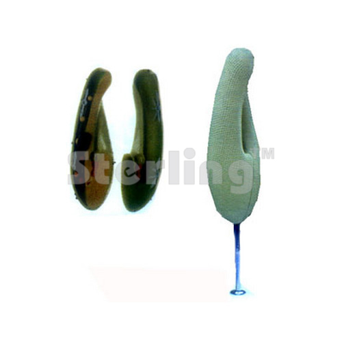 PARAMECIUM