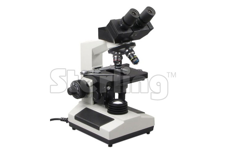 PHASE CONTRAST WITH BINOCULAR MICROSCOPE