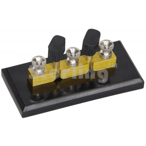 PLUG SWITCH TWO WAY