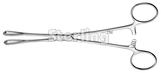 RAMPLEY SPONGE HOLDING FORCEPS